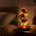 Вечная роза в колбе с LED-подсветкой 3 красных цветка под стеклянным куполом (5602266) Вечная роза в колбе с LED-подсветкой 3 красных цветка под стеклянным куполом (5602266)